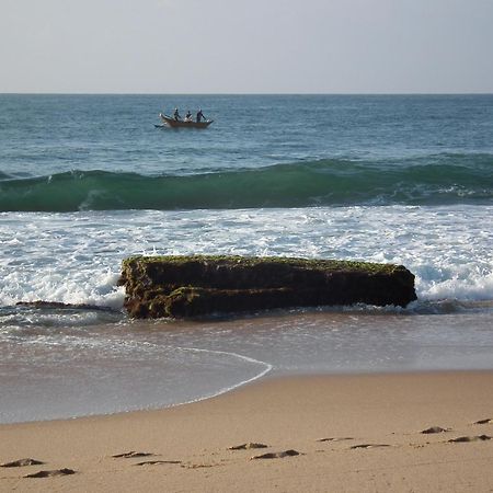 הוילה טנגלה Coconut Island מראה חיצוני תמונה