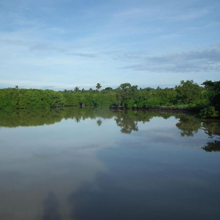 הוילה טנגלה Coconut Island מראה חיצוני תמונה