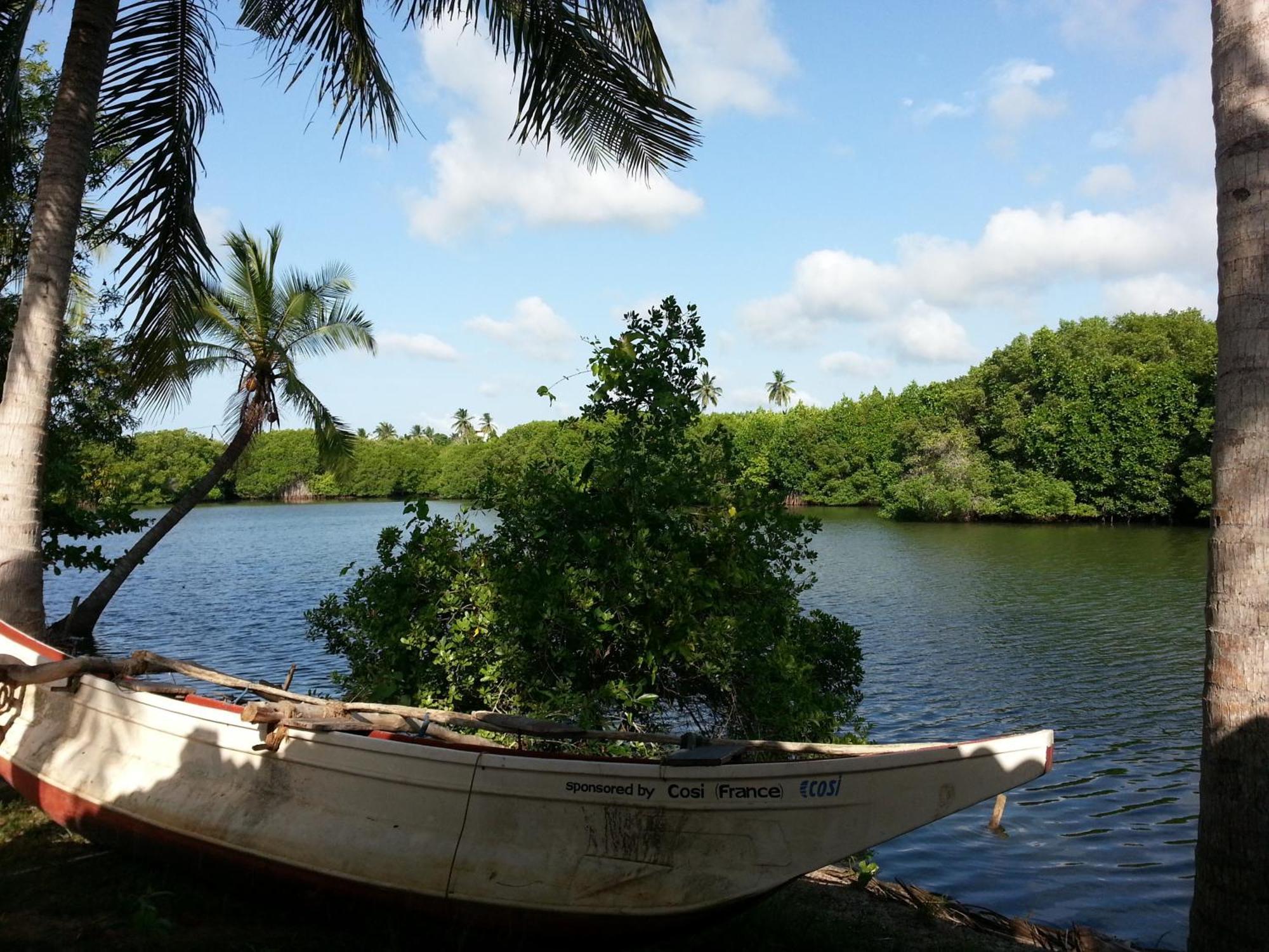 הוילה טנגלה Coconut Island חדר תמונה
