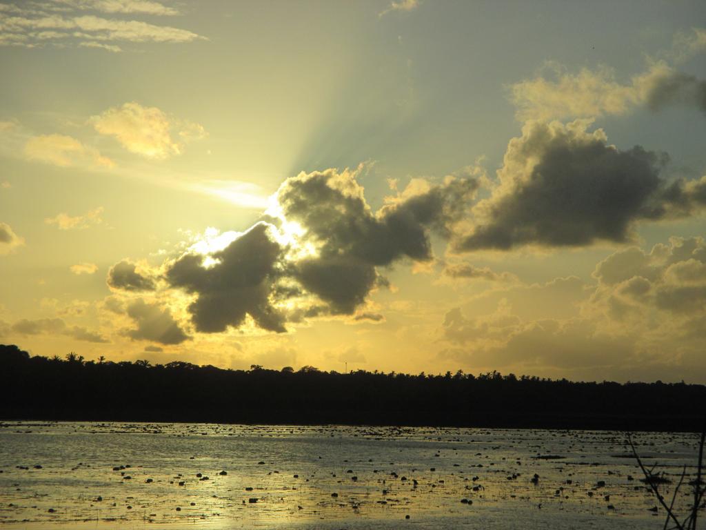הוילה טנגלה Coconut Island מראה חיצוני תמונה