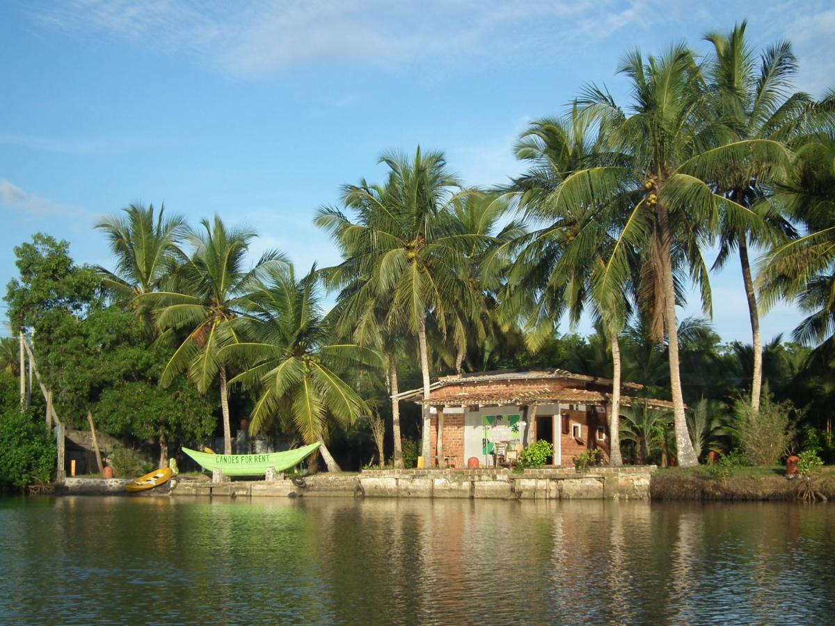 הוילה טנגלה Coconut Island מראה חיצוני תמונה