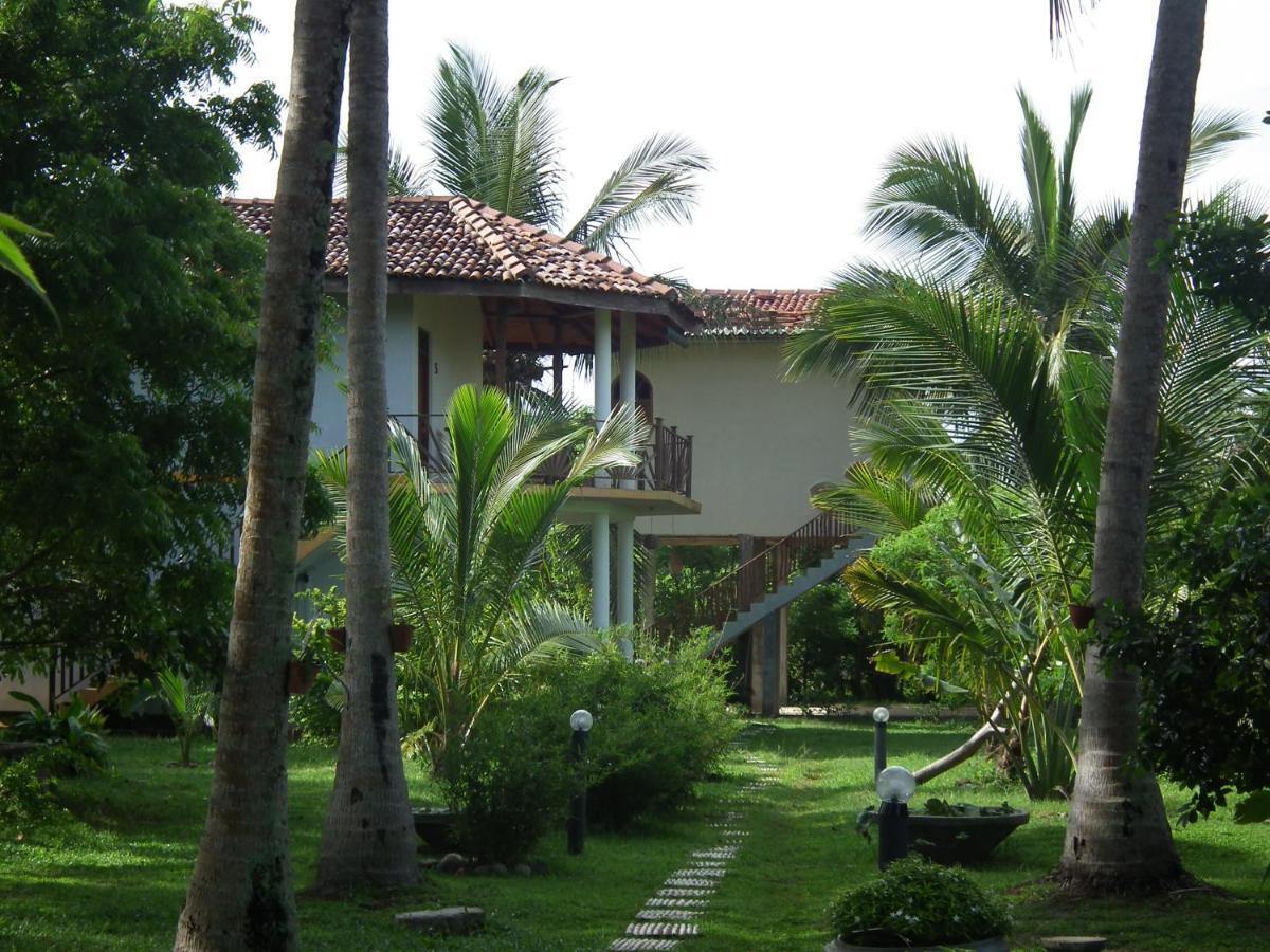 הוילה טנגלה Coconut Island מראה חיצוני תמונה