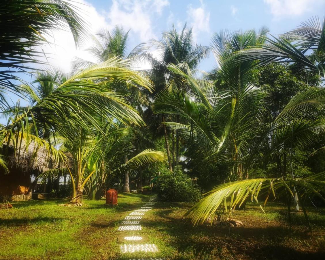 הוילה טנגלה Coconut Island מראה חיצוני תמונה