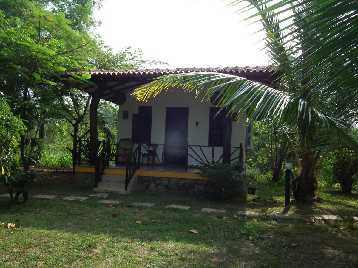 הוילה טנגלה Coconut Island מראה חיצוני תמונה