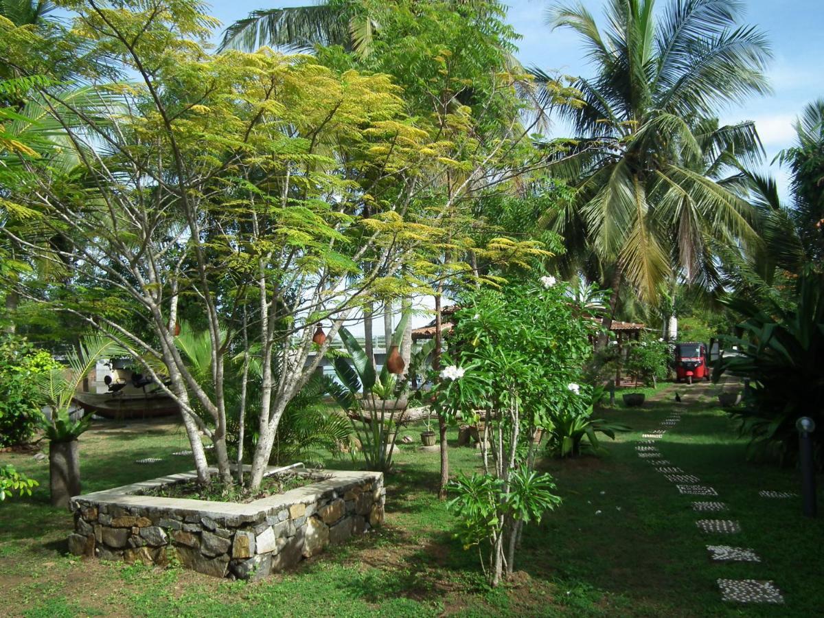 הוילה טנגלה Coconut Island מראה חיצוני תמונה