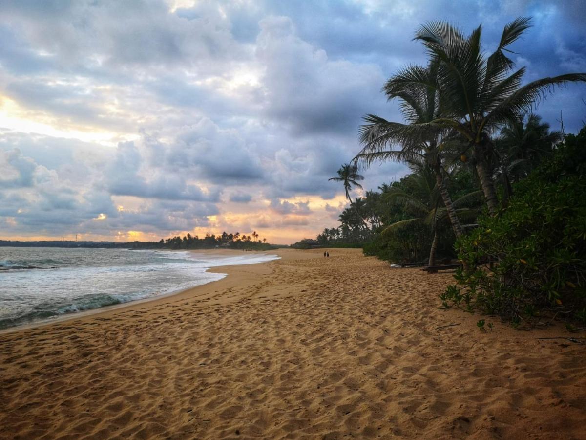 הוילה טנגלה Coconut Island מראה חיצוני תמונה