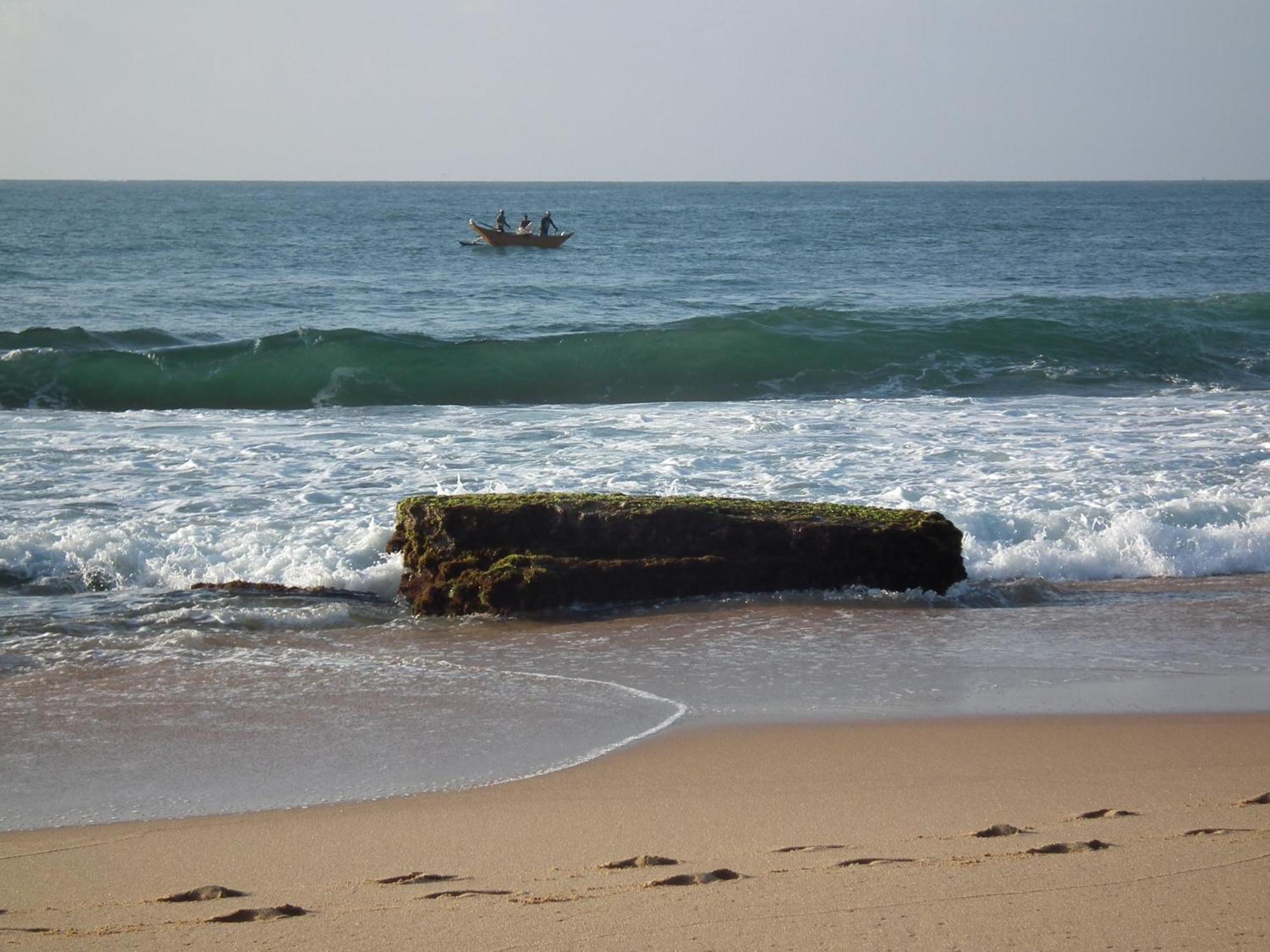 הוילה טנגלה Coconut Island מראה חיצוני תמונה