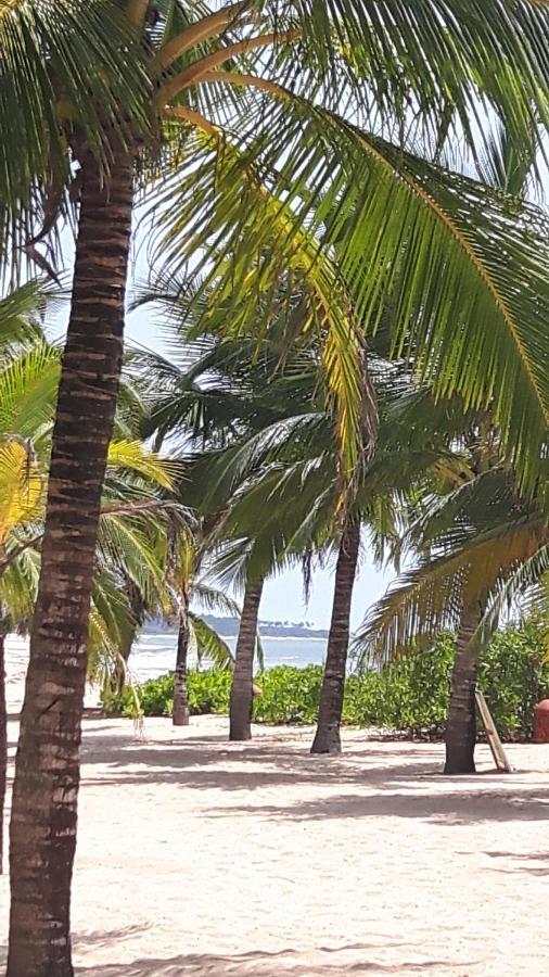 הוילה טנגלה Coconut Island מראה חיצוני תמונה