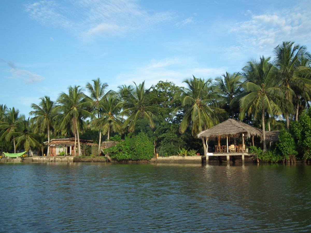 הוילה טנגלה Coconut Island מראה חיצוני תמונה