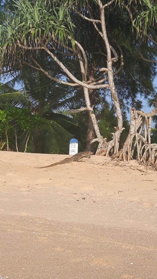הוילה טנגלה Coconut Island מראה חיצוני תמונה
