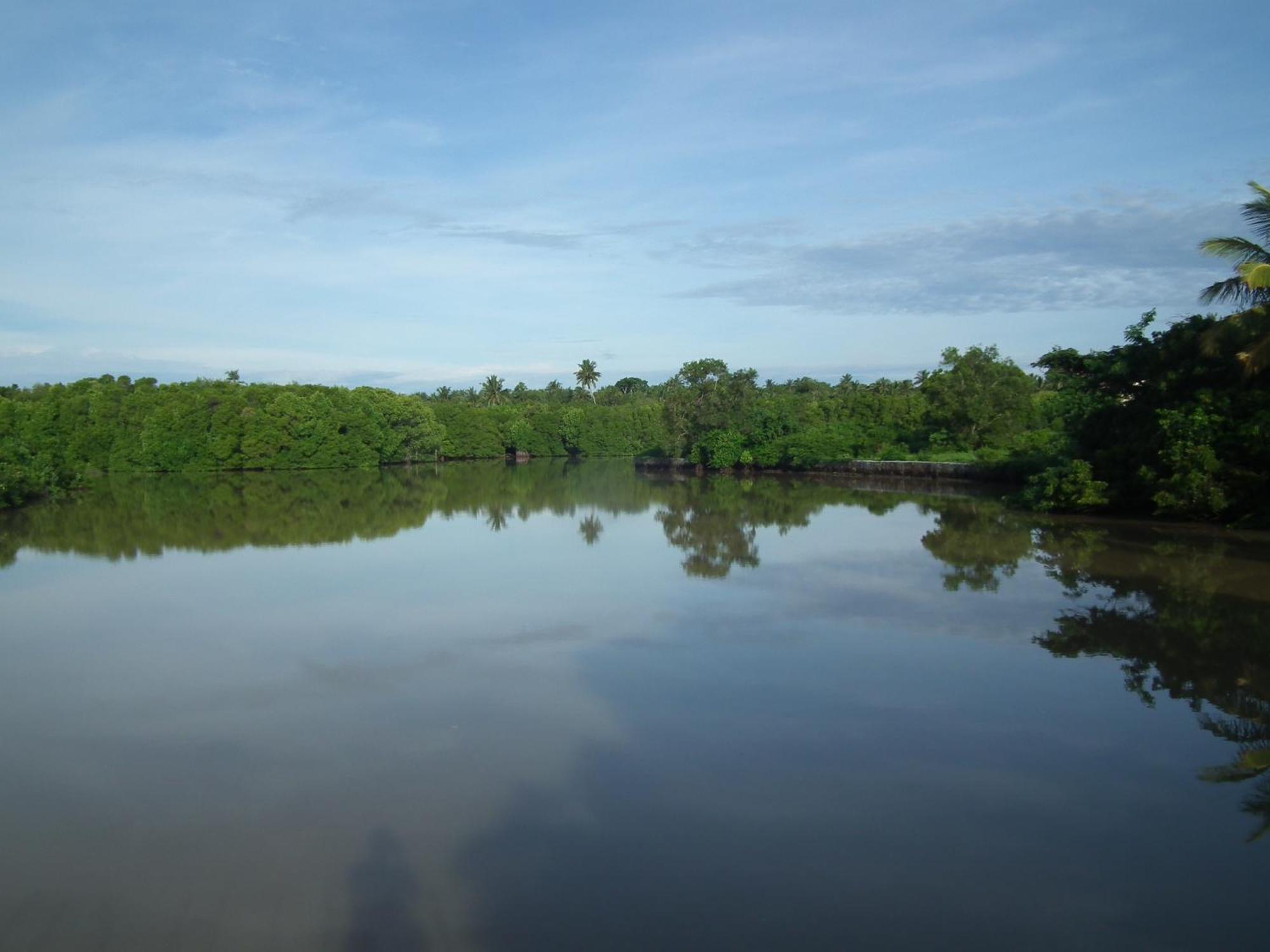 הוילה טנגלה Coconut Island מראה חיצוני תמונה
