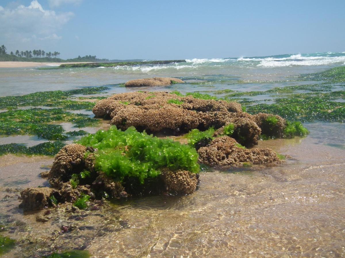 הוילה טנגלה Coconut Island מראה חיצוני תמונה